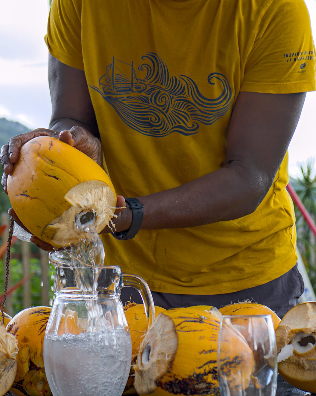 A local host pouring fresh coconut water in Bocas del Toro
