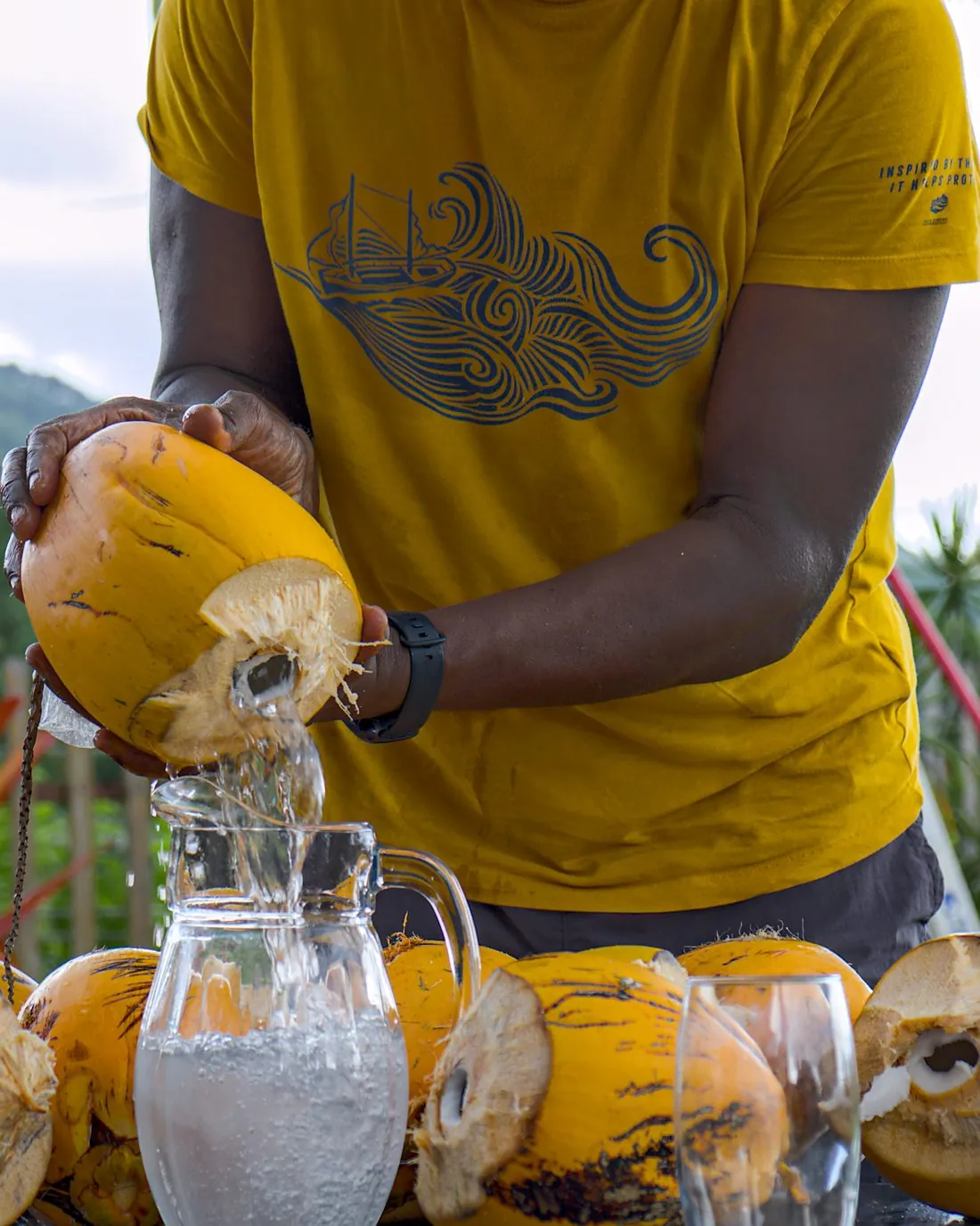 A local host pouring fresh coconut water in Bocas del Toro