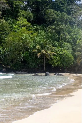 A frame from Bocas del Toro